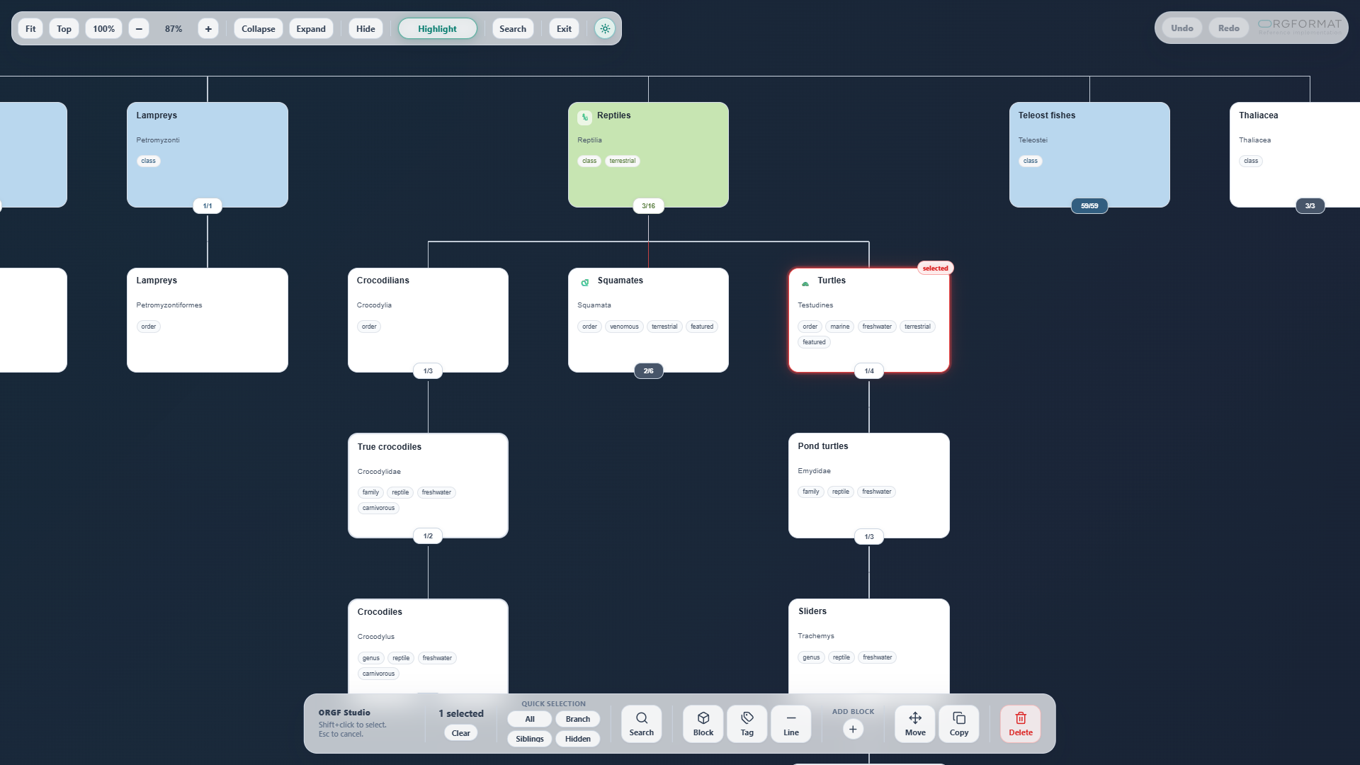 ORGFORMAT Studio used to explore a learning model